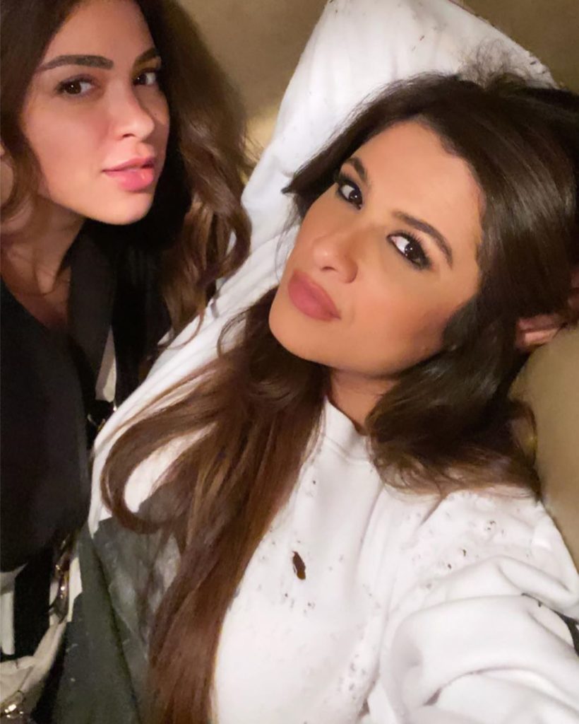ياسمين-حلاوة