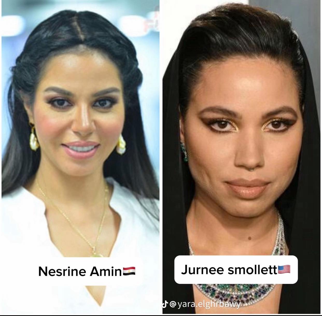فنانين اجانب وعرب وأشباههم من المصريين 4