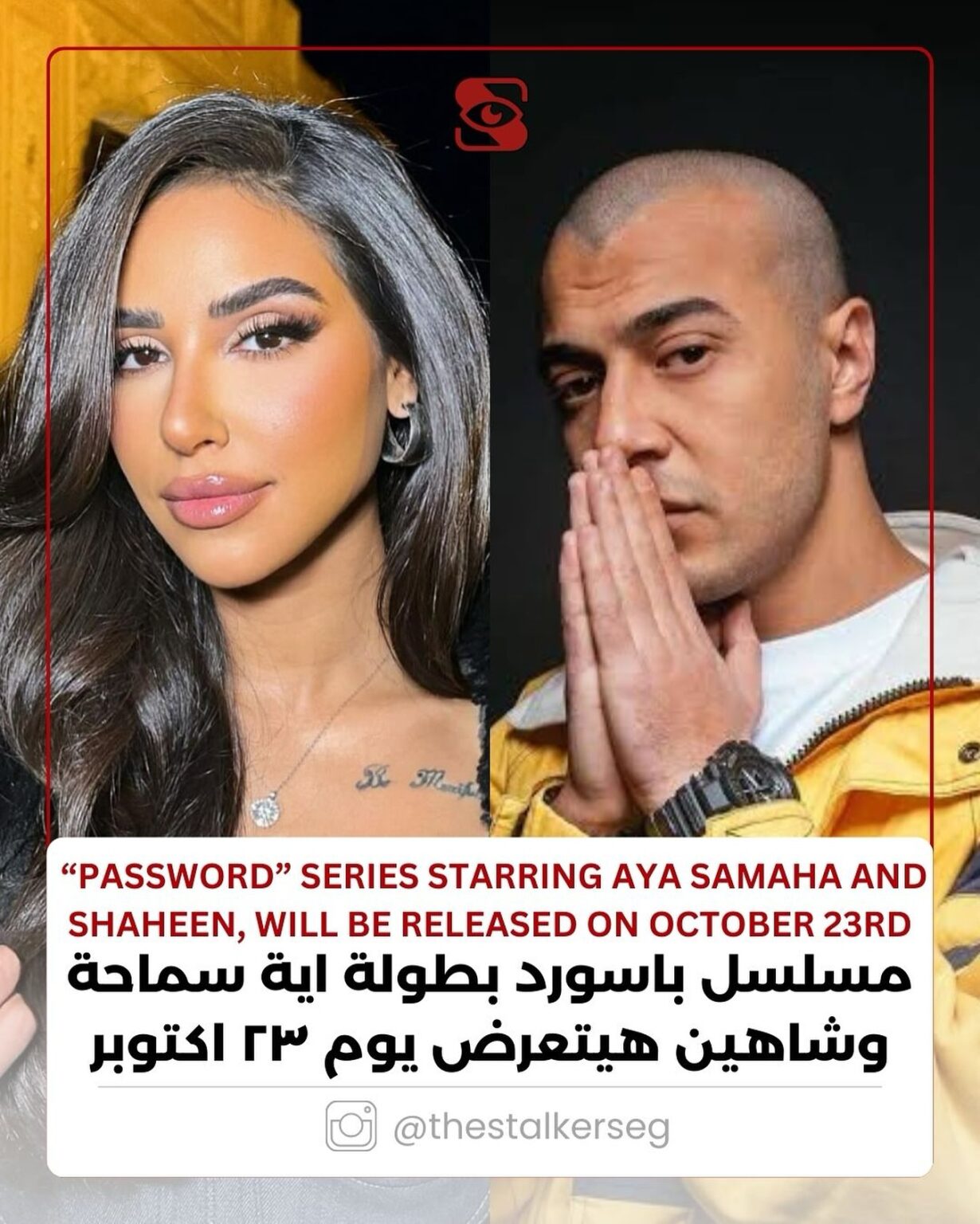 قصة-مسلسل-باسورد