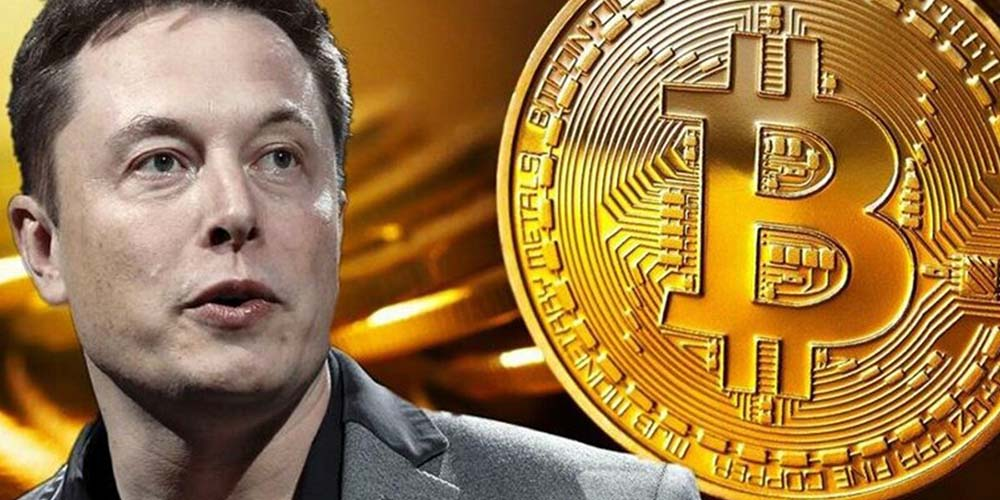 عملات رقمية يدعمها ترامب وايلون ماسك 2 عملات-رقمية-يدعمها-ايلون-ماسك
