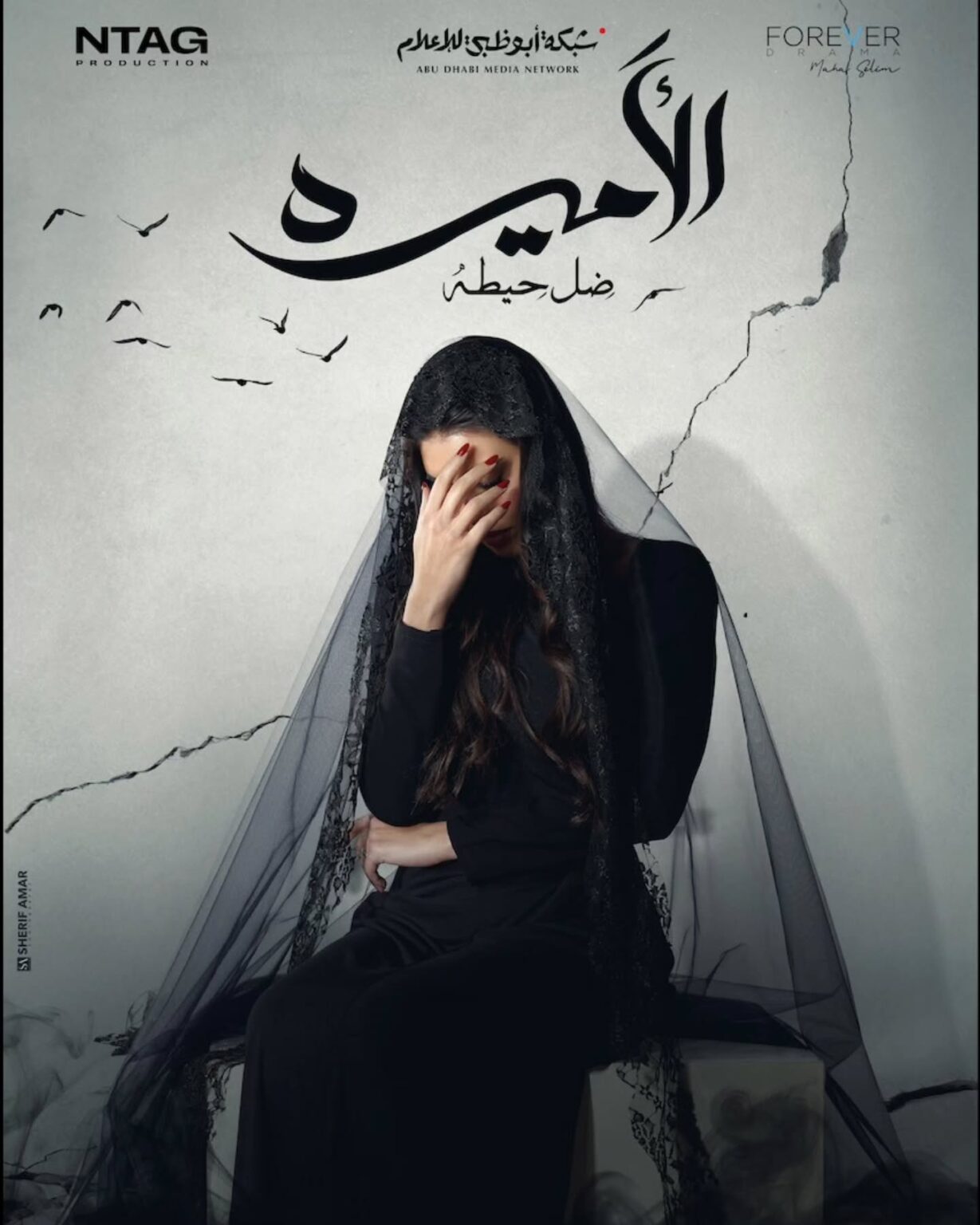 مسلسل-الاميرة-ضل-حيطة-2025